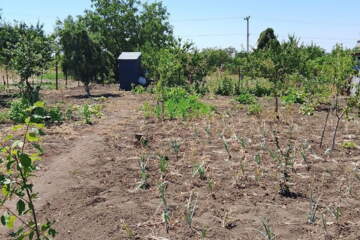 Дача, 20 м², 1 эт.